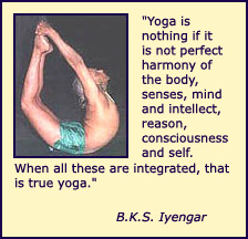 B.K.S. Iyengar photo